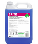 Glass Window Mirror Cleaner Brite - 5ltr