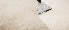 Carpet Care
