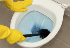 Toilet Cleaners
