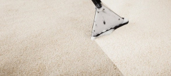 Carpet Care